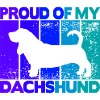 Proud of my dachshund