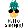 Hello summer pineapple