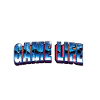 Game Life