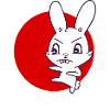 Karate Hase