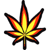 Cannabis Germany