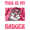 Badger Animal