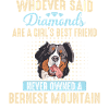 Bernese Mountain Dog Dog