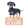 Dachshund Dog