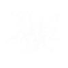 Octopus Octopus Cuttlefish Animal