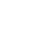 Yorkshire Terrier Papa