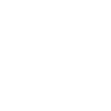 Munsterlander Papa