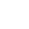 Border Collie Dad