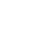 Border Terrier Dad