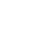 Pitbull Terrier Papa