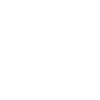 Cocker Spaniel Papa
