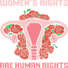 Women's Rights are Human Rights