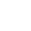Kooikerhondje Dad