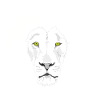 Lion in white