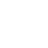 Brachiosaurus Fossil Skull