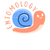 Entomology Profession Entomologist Insects Team