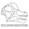 Brachiosaurus Fossil Head