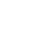 Canicross chien