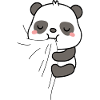 Panda eats fabric