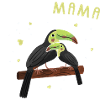 Toucan Mama