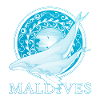 Humpback Whales Maldives