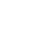 Lady