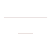 Ingenieur