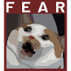 Chat effrayé Meme Illustration