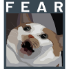 Chat effrayé Meme Illustration