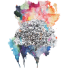Farbexplosion