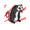 Opossum Possum Animal