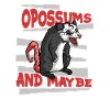 Opossum Possum Animal