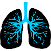 Respiratory therapist lungs