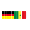 Allemagne et Sénégal Power 100%