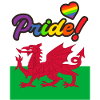 Wales LGBT Gay Pride Cardiff