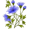 Fleur