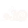 funny snail