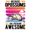 Because Opossums are freaking awesome