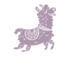 sweet llama alpaca