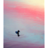pixelated duck