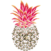Animal Gift Pineapple Raccoon