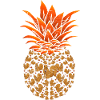Squirrel Pineapple