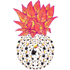 Toucan pineapple