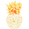 Cockatiel Ananas