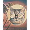 Cat Summer Flavour
