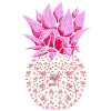 Ananas Axolotl