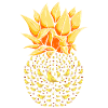 Cadeau Animal Ananas Cockatiel