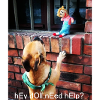 HeY dOll, neEd heLp?
