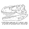 Torvosaurus Fossil Skull