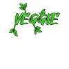 Vegan Veggie